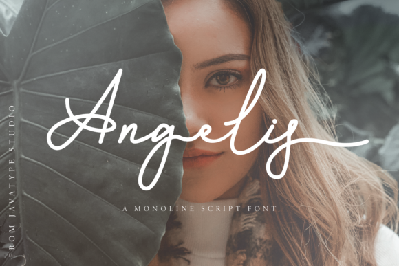 Angelis Font Review