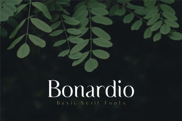 Bonardio Font for Web Design