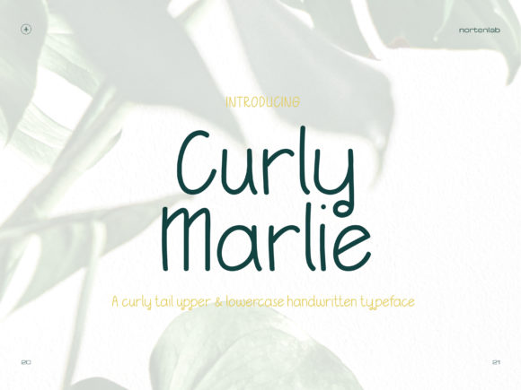 Curly Marlie: A Font for Creative Campaigns