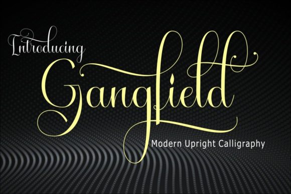 Gangfield: A Luxurious Script Font