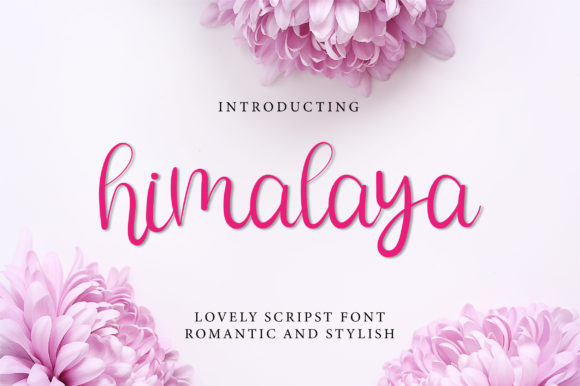 Himalya Font Review: A Delicate Script for Elegance in Brand Design