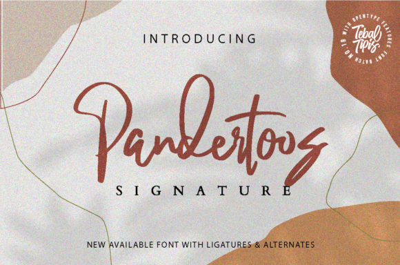 Pandertoos: A Script Font That Brings Elegance to Every Craft Project