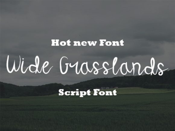 Wide Grasslands: A Script Font for Thoughtful Typography